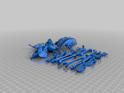 Mr. Bones