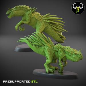 Spinodon Set B