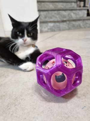 SnackPlay Cat