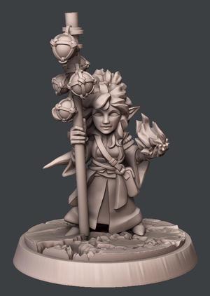Gnome Sorcerer