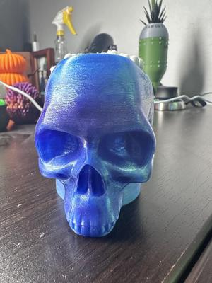 Skull Candy Bowl