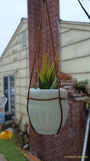 flower pot