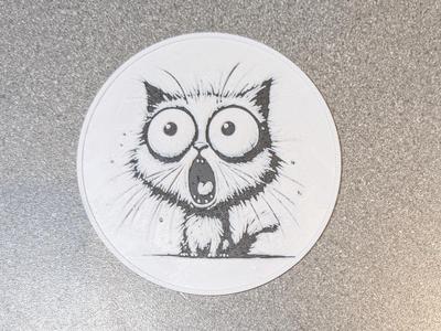 Shocked Cat Coaster 6