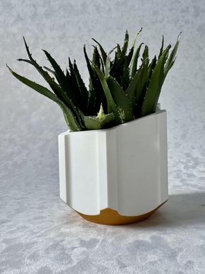 Planter