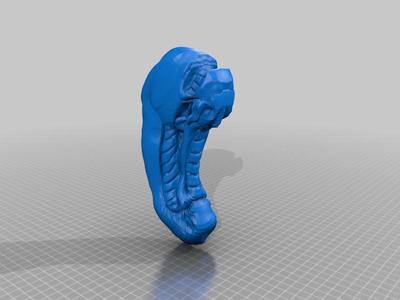 Xenomorph Head