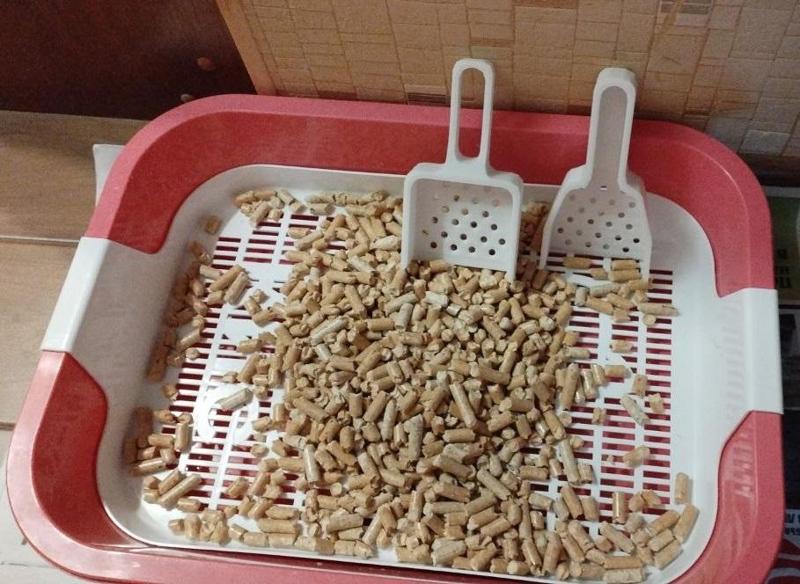 Cat litter scoop (scapula)