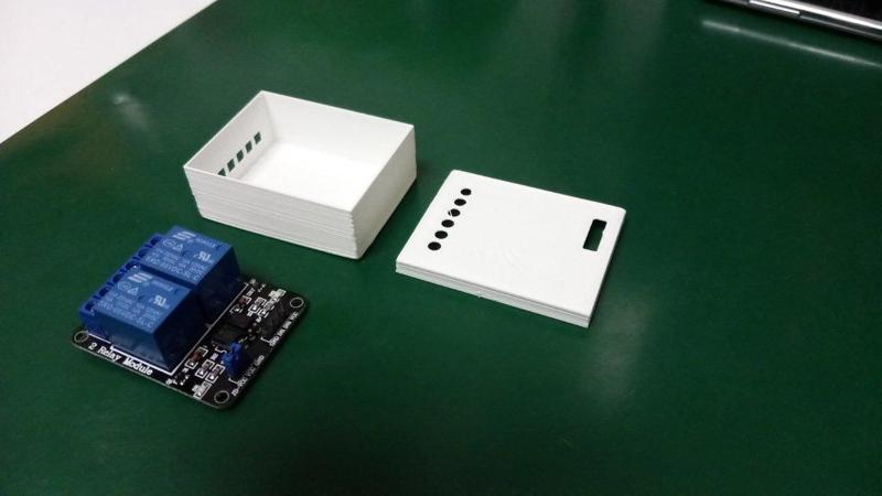 Double Relay Module Case