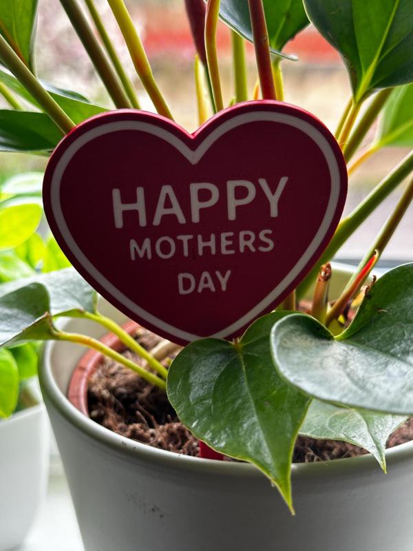 Happy Mothersday Plant Tag