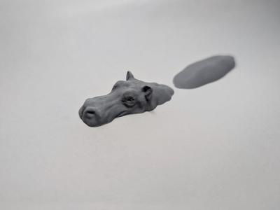 Floating hippo