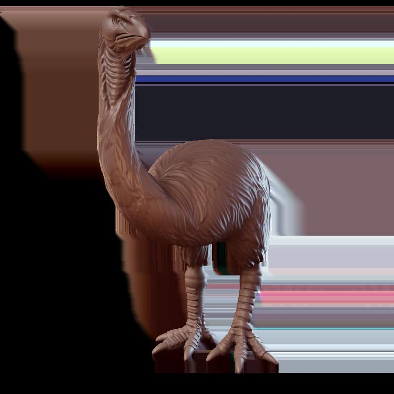 Great Moa