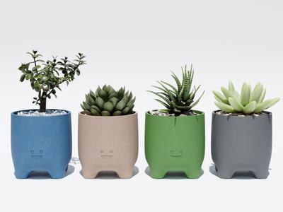 Cute planter with legs