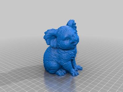 Koala