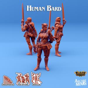 Human Bard - Merchant Guilds