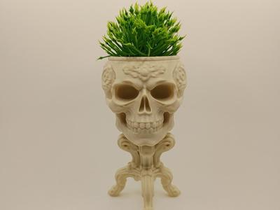 Gothic Skull Planter with Baroque Base Planter