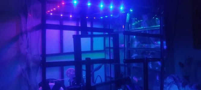LED Strip Case