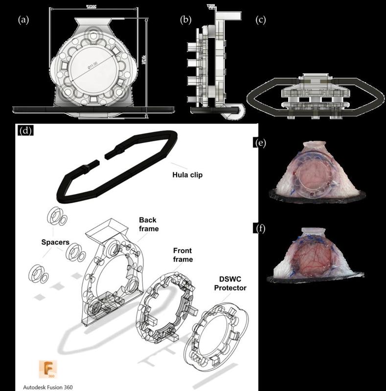 Dorsal Skinfold Window Chamber - all resin - 12 mm diameter
