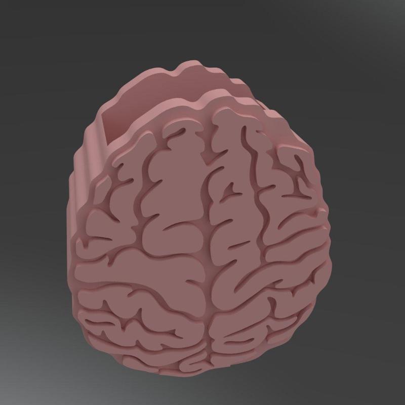 BRAIN PENCIL HOLDER