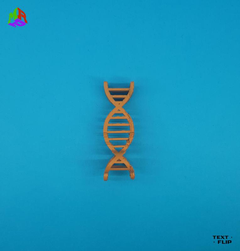 The Flips: Gene - Key