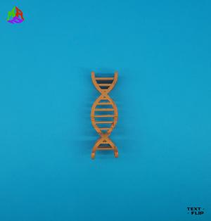 The Flips: Gene - Key