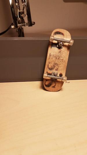 Fingerboard barrier