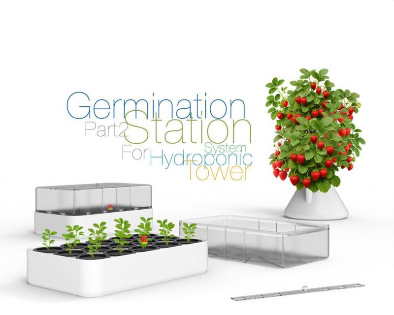 Germination Station