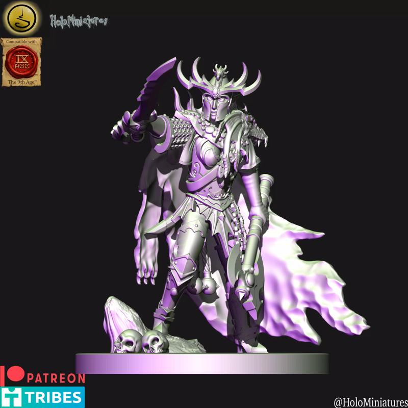 Dark elves Corsair lord 2