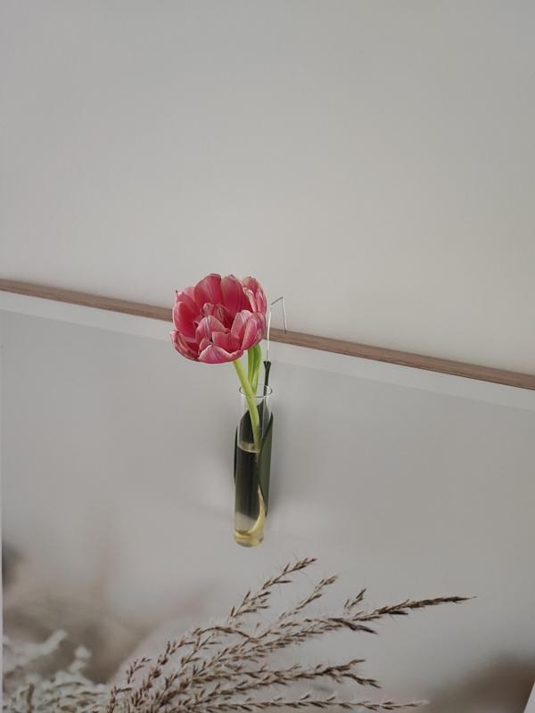 Test tube holder leaf shape