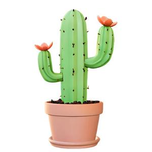 Cute Potted Cactus with Flowers