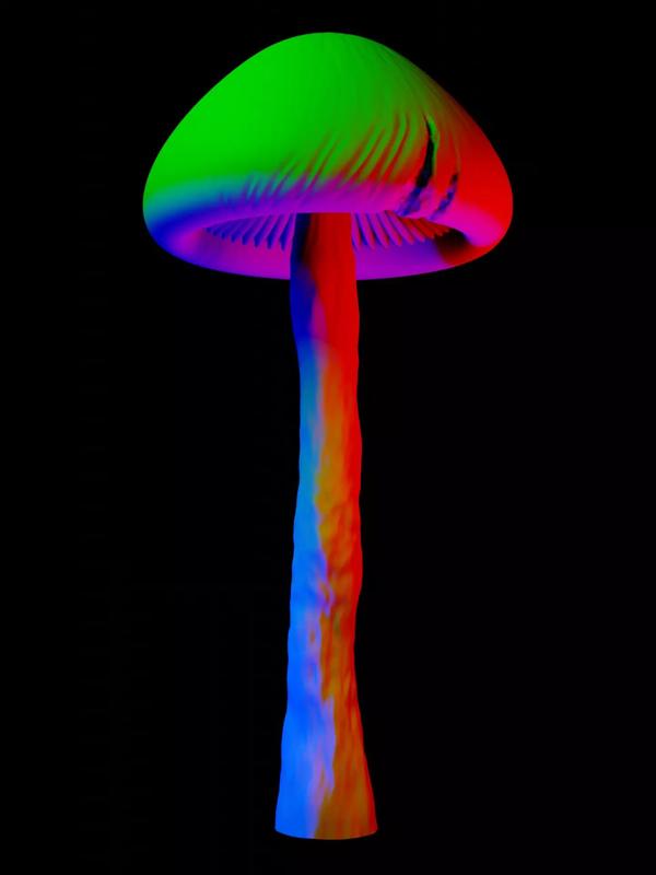 SHROOM colorful mushroom