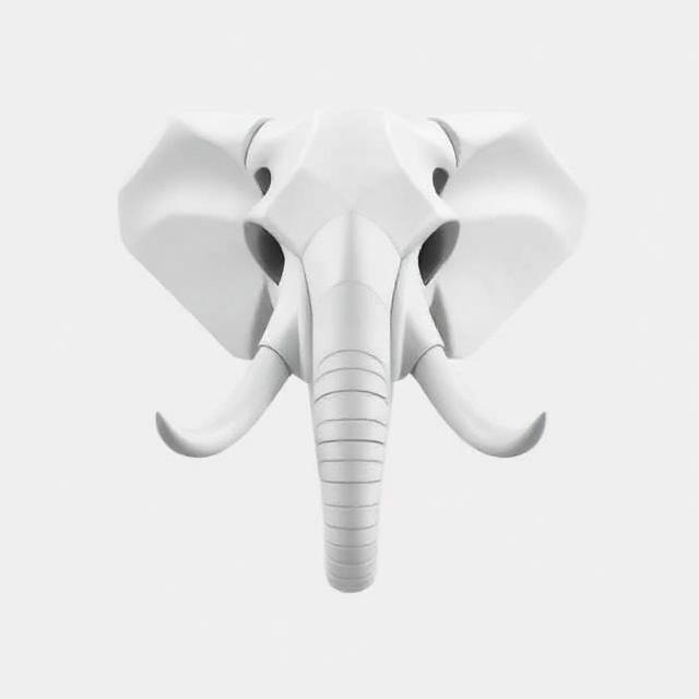 Elephant Skull – Ancient Power Remains