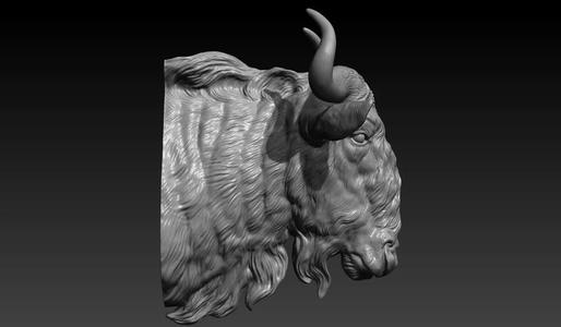 Wildebeest head