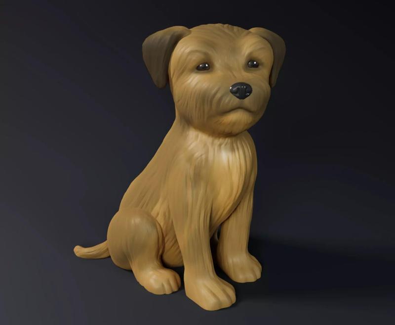 Cute Border Terrier Puppy