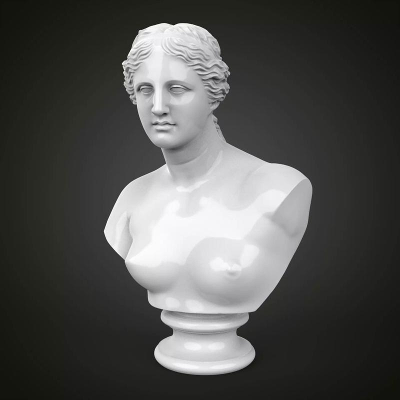 Venus de Milo bust