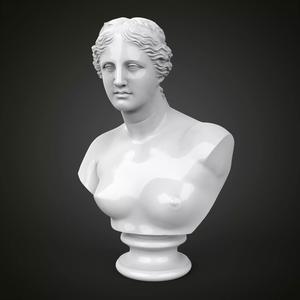 Venus de Milo bust