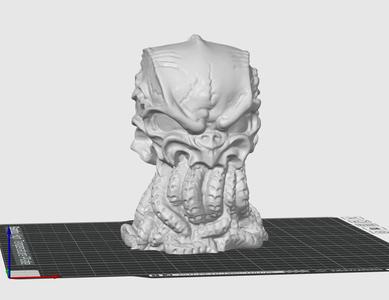 Octopus Skull