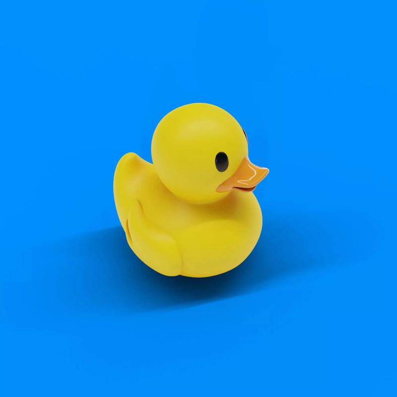 duck toy