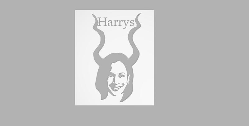 Harrys to paint walls and t-shirts