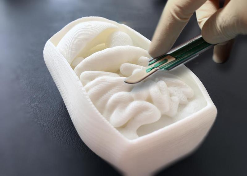 Corporeal - A Human Dissection Project