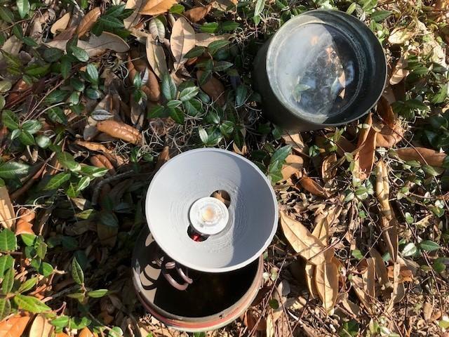 LED Landscape Replacement Light