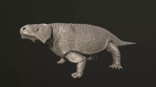 Bradysaurus dinosaur