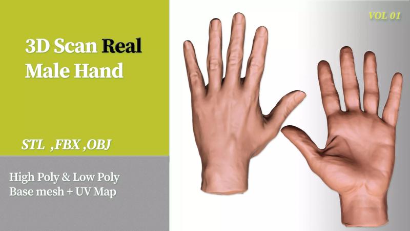 3D Scan Real Male Hand VOL 01