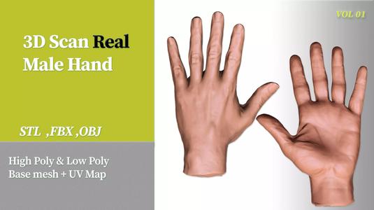 3D Scan Real Male Hand VOL 01