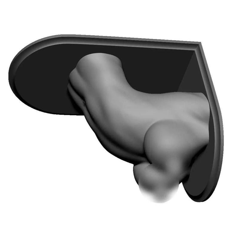 Shelf Brackets Female Torso