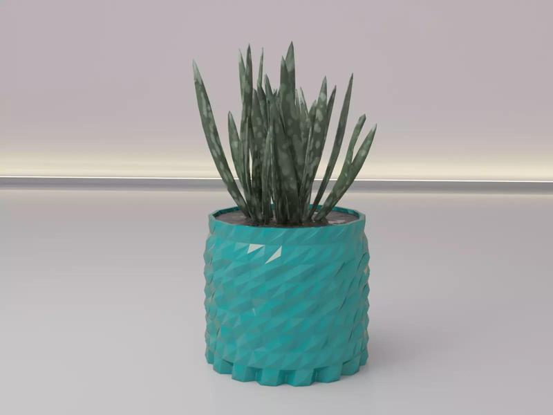 succulent flower pot