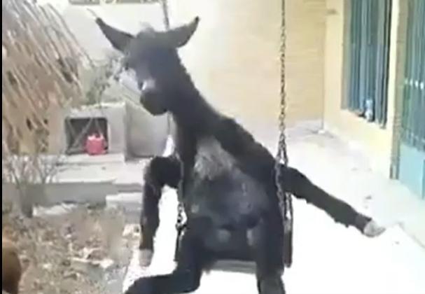 Sad Donkey on a Swing – Decorative 3D Model (STL)