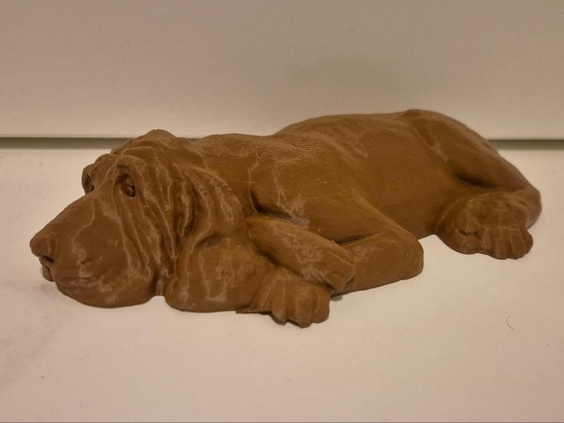 Peaceful Pup at Rest