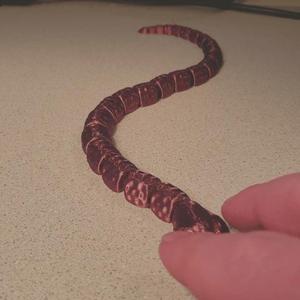 Slithery Snake