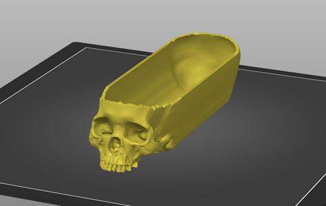 Loooong Human Skull