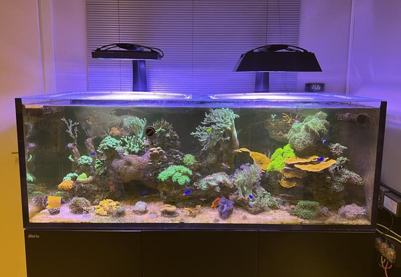 XR30 G6/G5 Ecotech Radion Light Shade