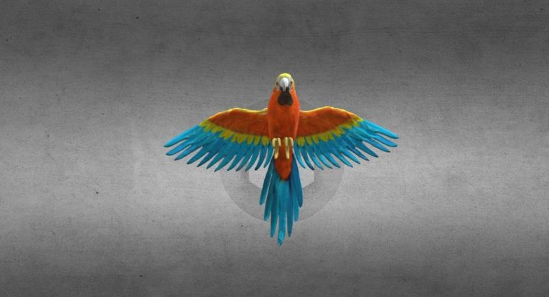 Parrot Sculpture--3D Scanned by Revopoint MIRACO 3D Scanner